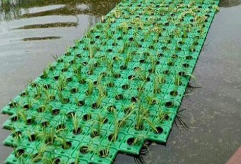 浮岛敏招三个10的，这个没得黑