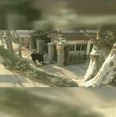 叶博亚近距离打门，李昂门线救险